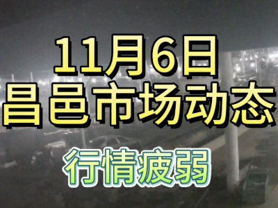 11月6日 昌邑生姜交易实况（行情疲弱） ()