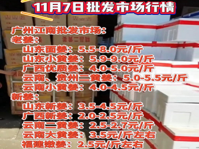 11月7日广州江南批发市场生姜价格行情 ()