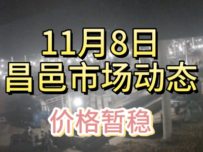 11月8日 昌邑生姜交易实况（价格暂稳） ()