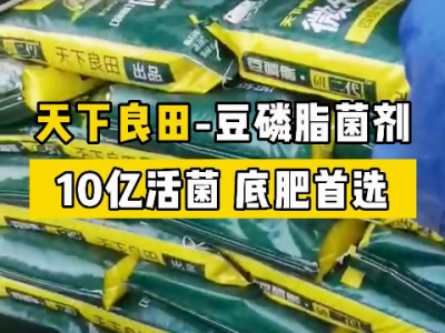 客户冬耕要用的豆磷脂微生物菌剂正在紧张装车 ()