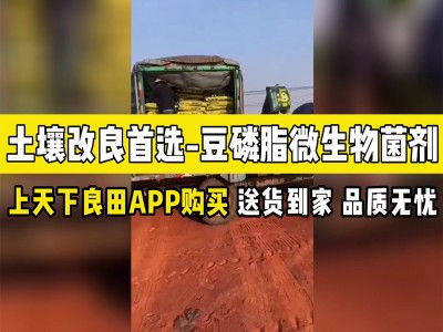 土壤改良首选-豆磷脂微生物菌剂 ()