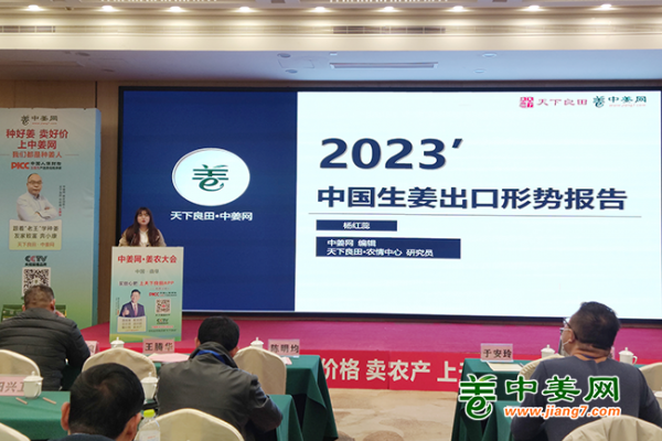 “中国生姜出口形势报告”讲座 ()