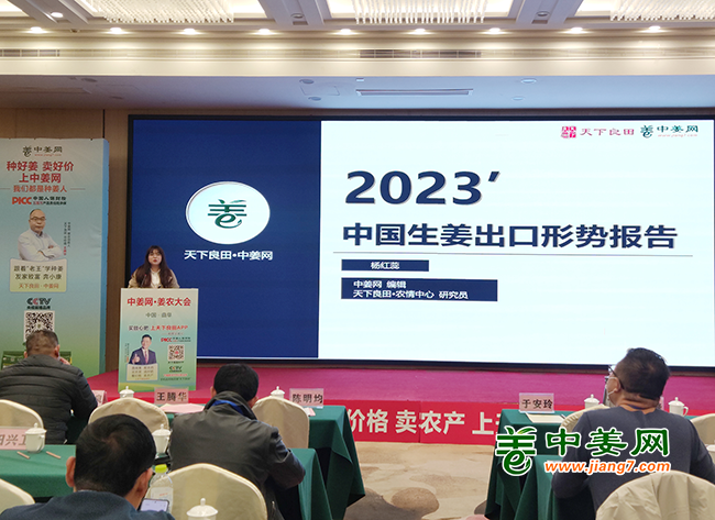 “中国生姜出口形势报告”讲座