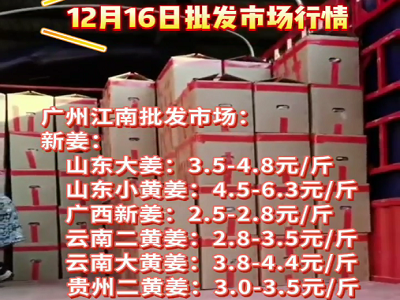 12月16日广州江南批发市场生姜价格行情 ()