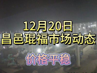 12月20日 昌邑生姜交易实况（价格平稳） ()