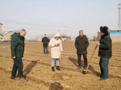 中姜网河南孟州测土选地交流中 ()