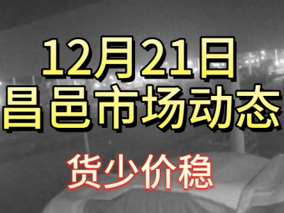 12月21日 昌邑生姜交易实况（货少价稳） ()