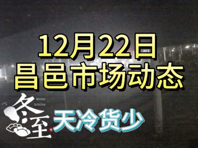 12月22日 昌邑生姜交易实况（天冷货少） ()