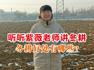 听听紫薇老师讲冬耕好处有哪些！ ()