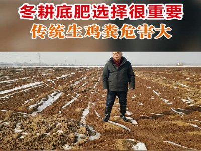 冬耕底肥选择很重要 传统生鸡粪危害大 ()