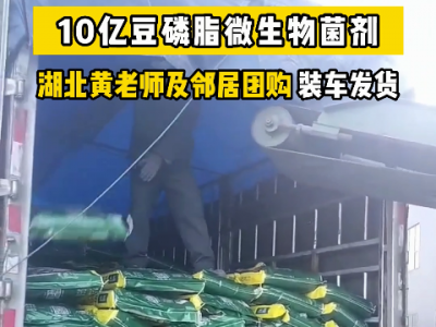 湖北黄老师和邻居团购豆磷脂菌剂发货中 ()