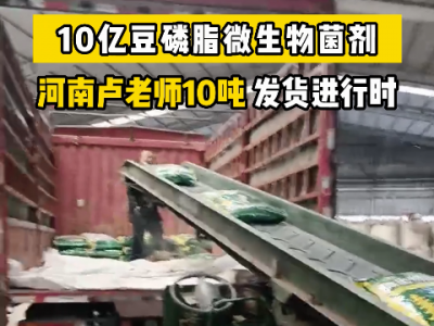 河南卢老师10吨豆磷脂菌剂发货中 ()