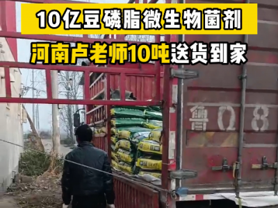 河南卢老师10吨豆磷脂菌剂送货到家 ()