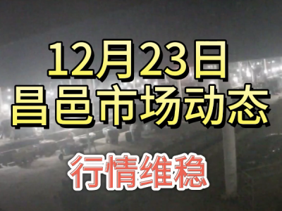 12月23日 昌邑生姜交易实况（行情维稳） ()