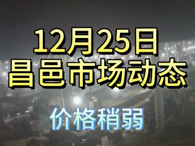 12月25日 昌邑生姜交易实况（价格稍弱） ()