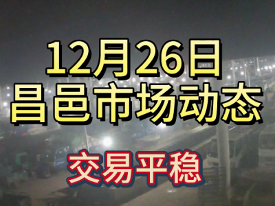 12月26日 昌邑生姜交易实况（交易平稳） ()