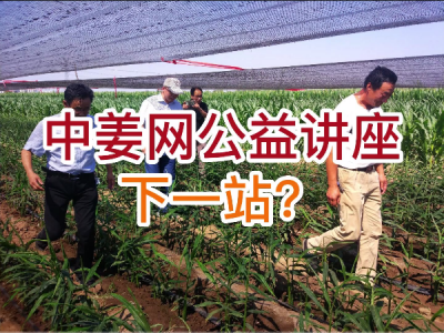 中姜网公益讲座 下一站？ ()