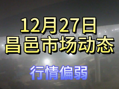 12月27日 昌邑生姜交易实况（行情偏弱） ()