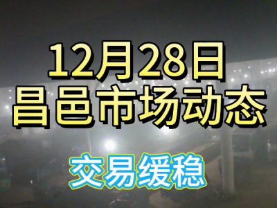 12月28日 昌邑生姜交易实况（交易缓稳） ()