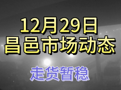 12月29日 昌邑生姜交易实况（走货暂稳） ()