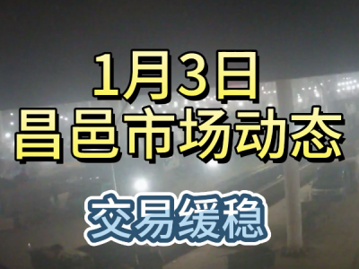 1月3日 昌邑生姜交易实况（交易缓稳） ()