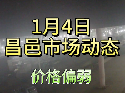 1月4日 昌邑生姜交易实况（价格偏弱） ()