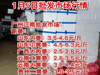1月5日广州江南批发市场生姜价格行情 ()