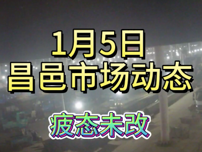 1月5日 昌邑生姜交易实况（疲态未改） ()