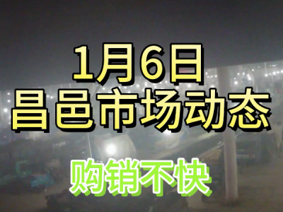 1月6日 昌邑生姜交易实况（购销不快） ()