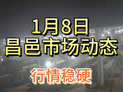 1月8日 昌邑生姜交易实况（行情稳硬） ()