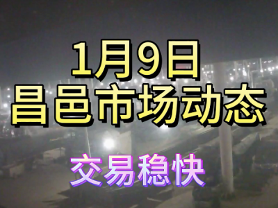 1月9日 昌邑生姜交易实况（交易稳快） ()