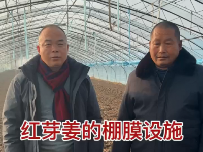 种植红芽姜的棚膜设施 ()