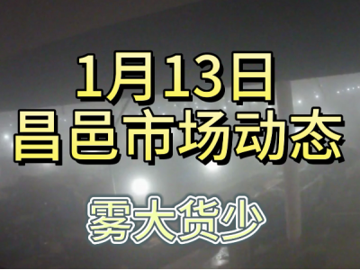 1月13日 昌邑生姜交易实况（雾大货少） ()