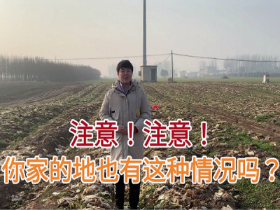 注意！注意！您家的地有这种情况吗？ ()