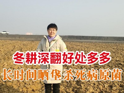 冬耕深翻晒垡的好处 ()