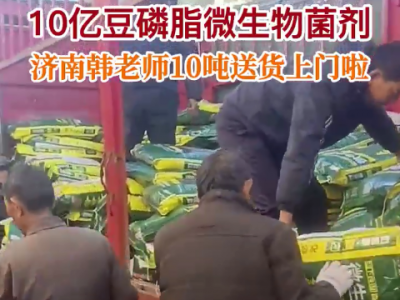 济南韩老师10吨豆磷脂微生物菌剂送货到家... ()