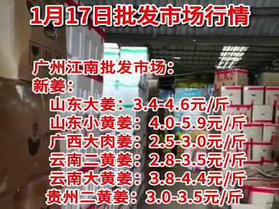 1月17日广州江南批发市场生姜价格行情 ()