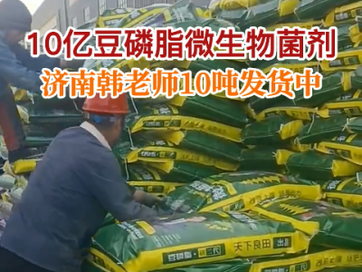济南韩老师10吨豆磷脂微生物菌剂发货中... ()