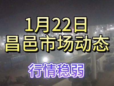 1月22日 昌邑生姜交易实况（行情稳弱） ()