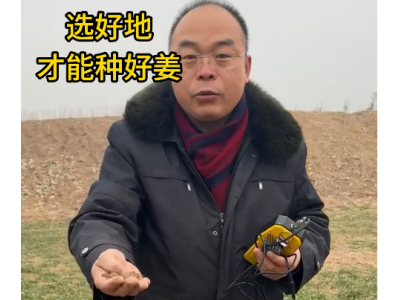 选好地 才能种好姜 ()