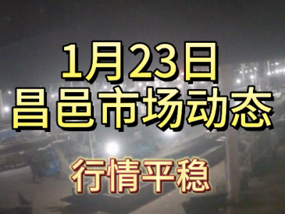 1月23日 昌邑生姜交易实况（行情平稳） ()