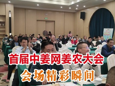 首届中姜网姜农大会--精彩瞬间 ()