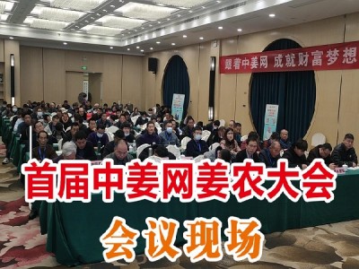 首届中姜网姜农大会--会议现场 ()