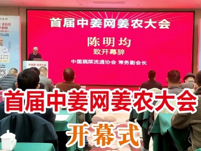 首届中姜网姜农大会--开幕式 ()