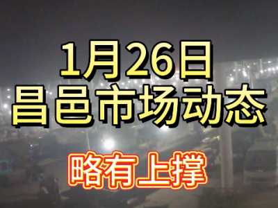 1月26日 昌邑生姜交易实况（略有上撑） ()