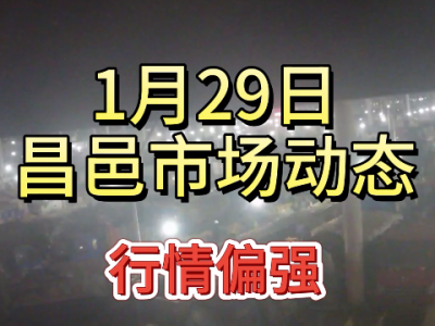 1月29日 昌邑生姜交易实况（行情偏强） ()