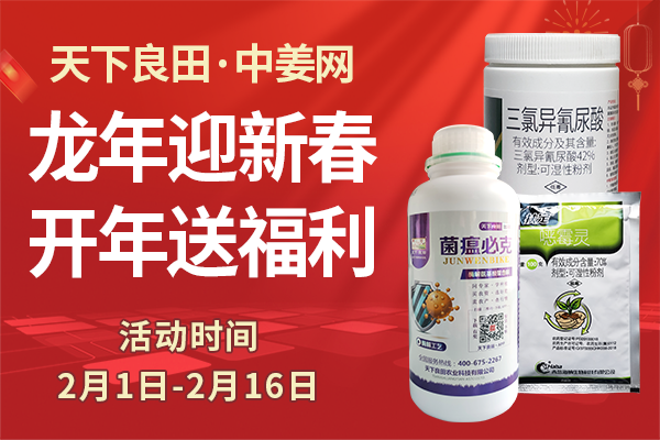 龙年迎新春 开年送福利 ()