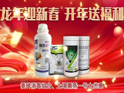 龙年迎新春，开年送福利 ()