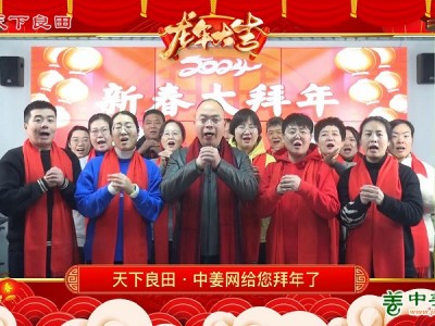 天下良田·中姜网 给您拜年啦！ ()