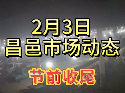 2月3日 昌邑生姜交易实况（节前收尾） ()